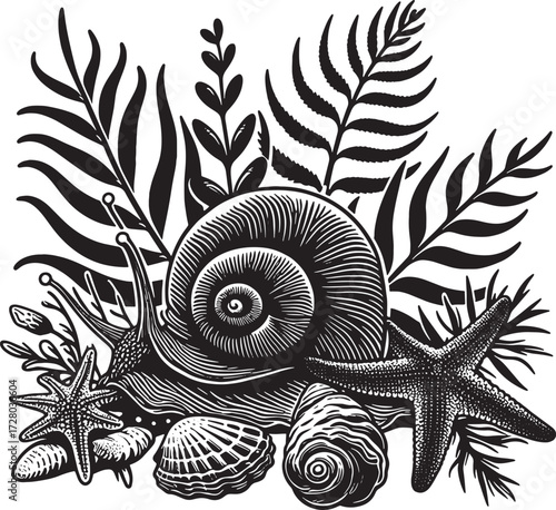 sea animal black silhouette art transparent background design stock photos premium quality
