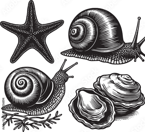 sea animal black silhouette art transparent background design stock photos premium quality