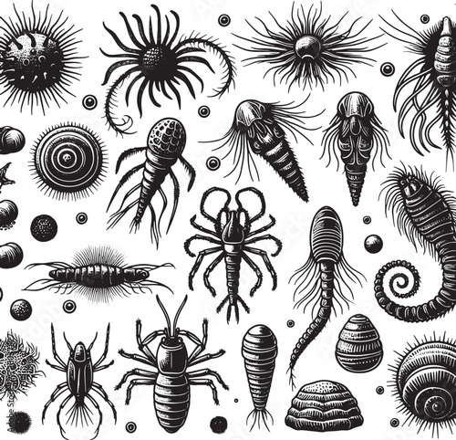 sea plankton black silhouette art transparent background design stock photos premium quality