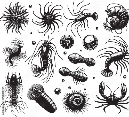 sea plankton black silhouette art transparent background design stock photos premium quality
