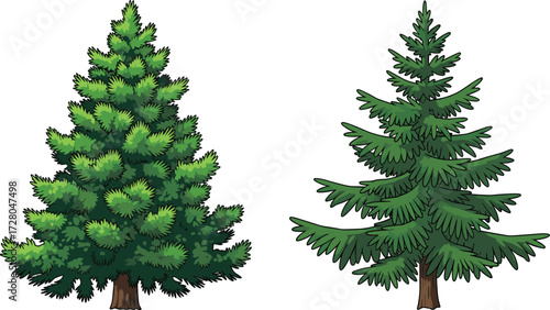 Pine tree and fir tree illustration, evergreen conifer plants drawing, Christmas holiday tree artwork, green forest tree vector, nature design