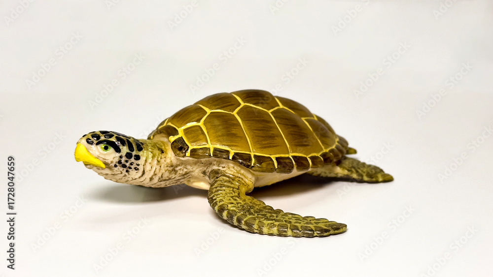 Obraz premium Turtle figurine on white background