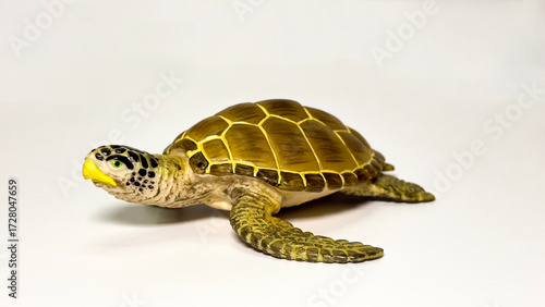 Turtle figurine on white background
