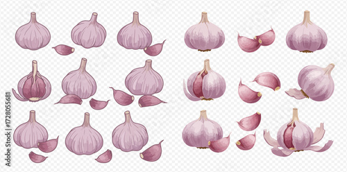 Various garlic bulbs and cloves, some whole and some peeled, arranged on a transparent background.