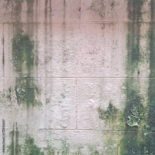 Old Concrete Wall with Moss Stains and Weathered Grunge Texture for Design