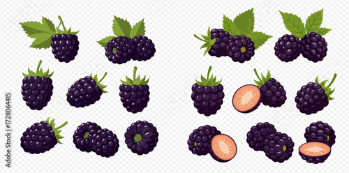A collection of fresh, ripe blackberries in various arrangements, including whole berries, clusters with green leaves, and cross-sections revealing their juicy interior.