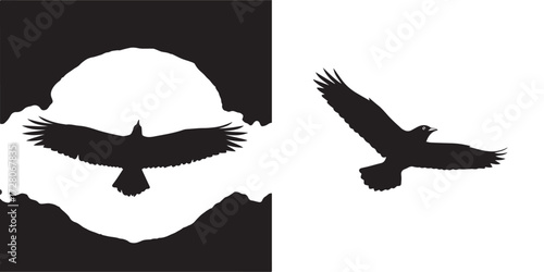 Silhouettes of Birds in Flight Against a White Background