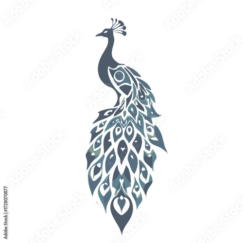 peacock vector illustration