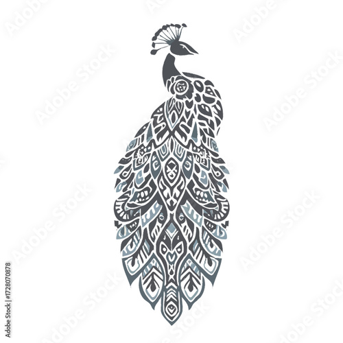 peacock feather on white background