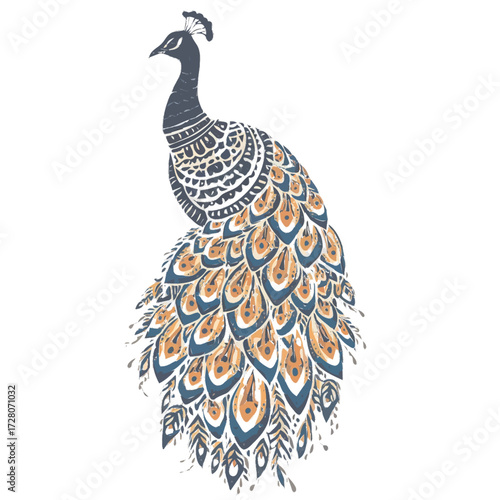 peacock vector illustration
