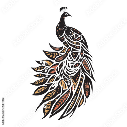 peacock feather vector illustration