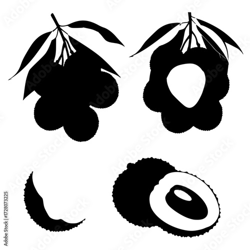 vector illustration of a set of fruit
