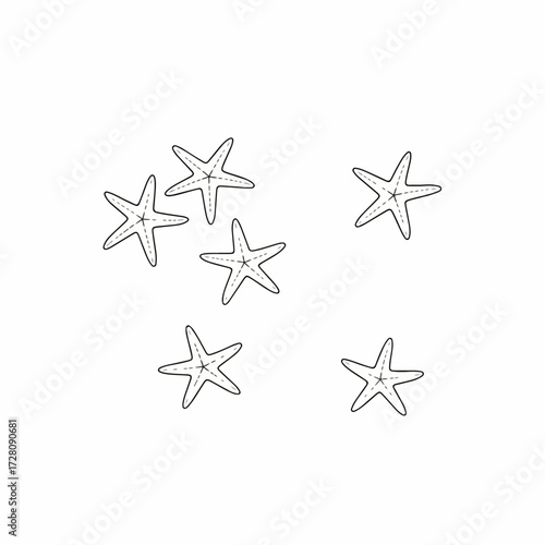 Starfish Line Art Illustration Set. Minimalist Hand-Drawn Marine Animals. Black and White Sea Star Outlines.