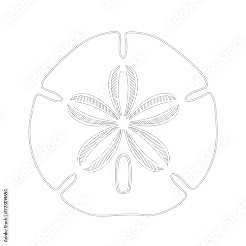 Minimalist Sand Dollar Outline Illustration. Simple Line Art of Marine Life. Coastal and Ocean Symbol on White Background.