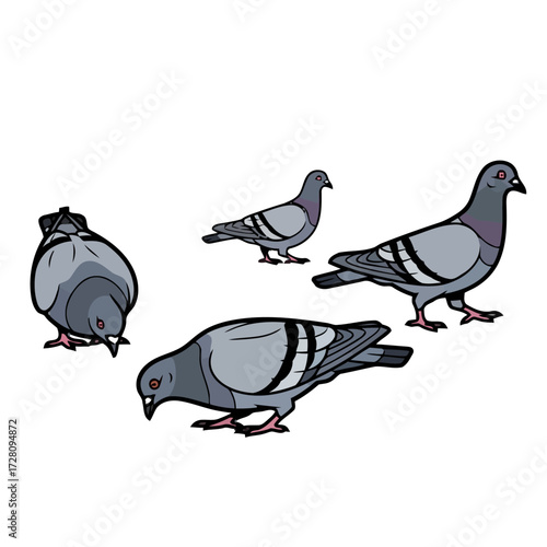 Group four cartoon pigeons in various poses, some pecking at the ground and others standing, isolated on transparent