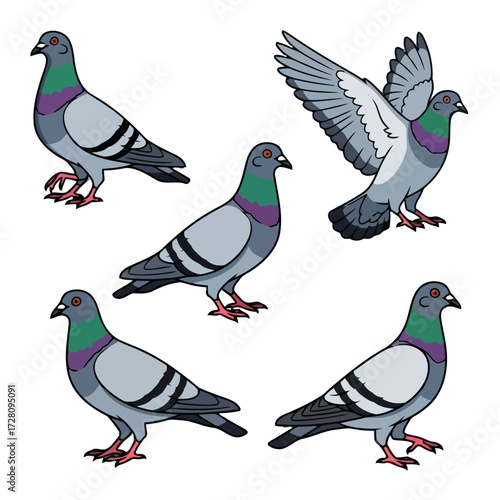 Collection five pigeons in various poses, including one in flight, isolated on transparent
