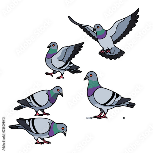 Collection five pigeons in various poses, with one in flight, against transparent