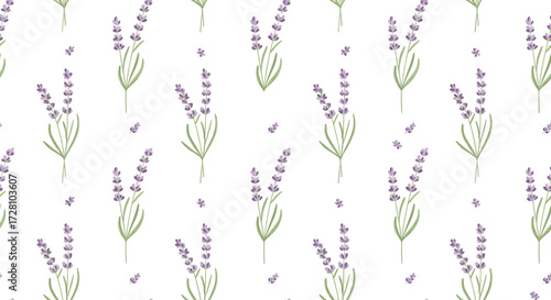 Lavender flower pattern with purple blossoms and green leaves on white background.