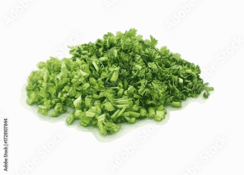 Fragrant Green  chopped coriander isolated watercolor vector illustration svg
