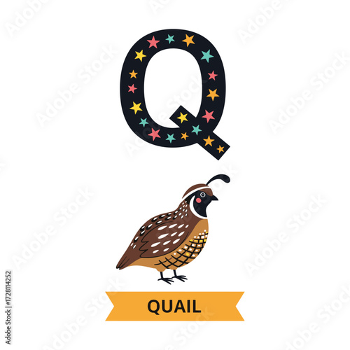 A cute cartoon quail bird with the letter q.