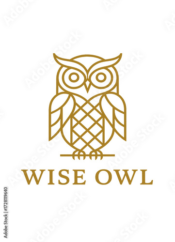 Wise Owl Knowledge  Education Geometric line