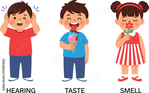 Three senses illustration, children showing hearing taste smell, kids learning sensory science, educational poster for classroom, school teaching resource, human senses education
