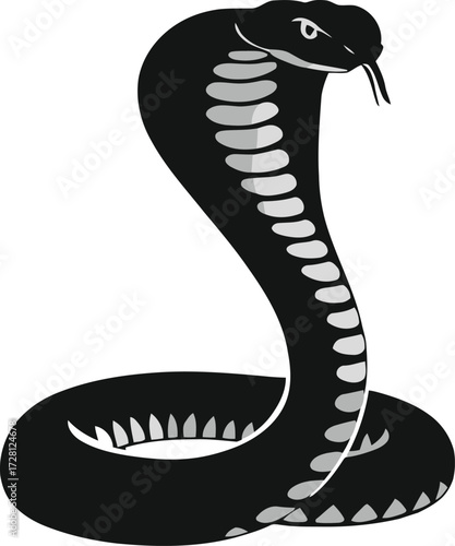 snake silhouette on white background