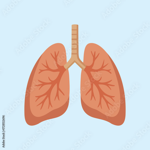 Illustration of human lungs with brown bronchial branches detailing, depicting the respiratory system and the health of the body's organs.
