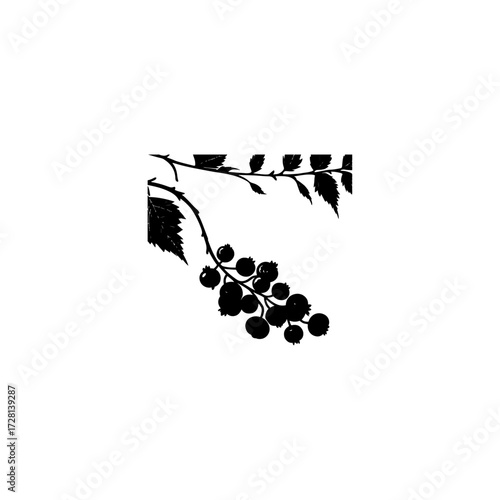 Silhouette of Blackberry Branch Featuring Berries and Leaves,