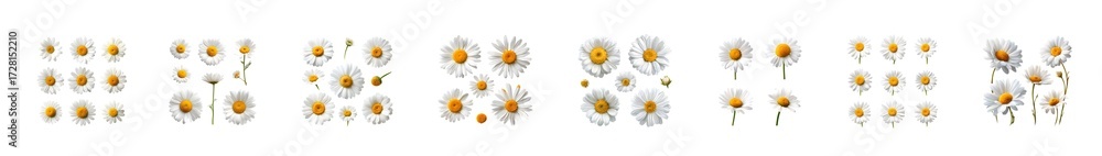 Fototapeta premium Set of minimalist hand drawn botanical illustrations with abstract flowers and plants.