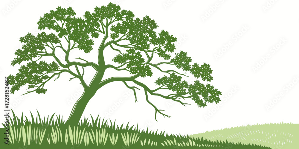 Obraz premium green tree isolated on white background