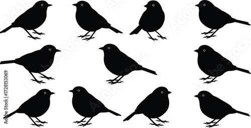 Silhouette of birds perched and standing, black sparrow vector illustration, animal shadow art, wildlife bird flock, decorative design, nature pattern