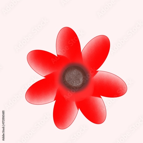 red flower isolated on white