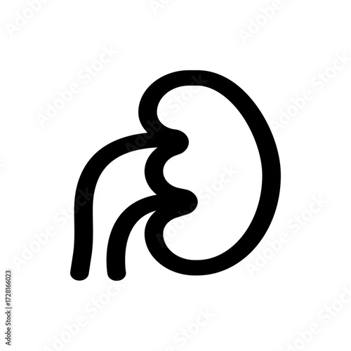 A simple black and white line drawing depicting a kidney with its associated blood vessels or ureter system