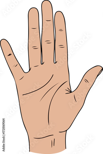 Human hand with fingers outstretched showing palm and skin color.