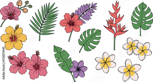 Colorful tropical flowers and leaves collection for design elements.