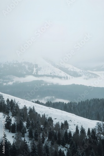 Beautiful winter mountain landscape with snow covered pine trees in misty weather, scenic nature background of frosty forest hills and foggy peaks, peaceful cold season backdrop wallpaper