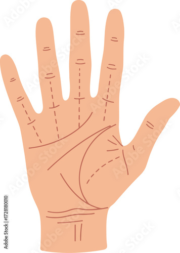 Palmistry hand illustration showing lines and details for fortune telling and analysis.