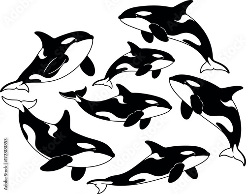 Flat style killer whale set with playful family group vector illustration