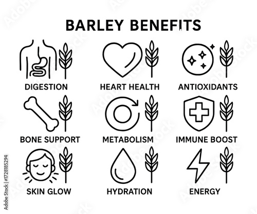 Barley benefits infographic: digestion, heart health, antioxidants, bone support, metabolism