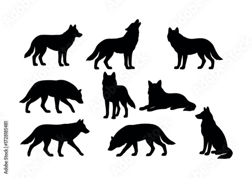 Silhouette of various wolf poses on white background
