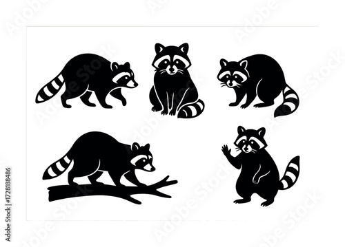 Black silhouette raccoon poses collection on white background