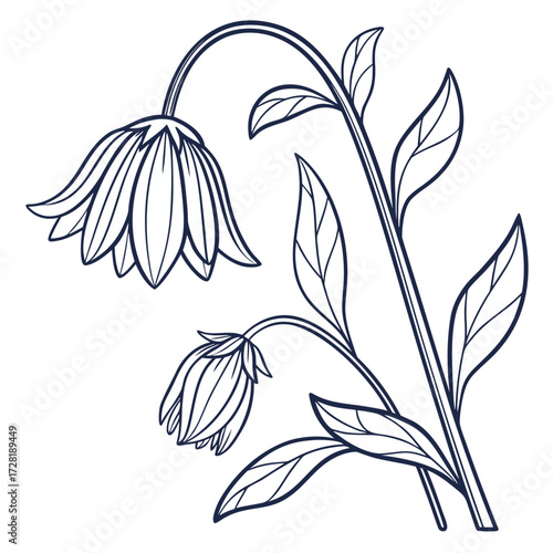 Bild auf Leinwand gazania wilting with leaves