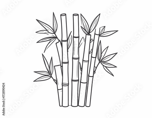 vector illustration of bamboo