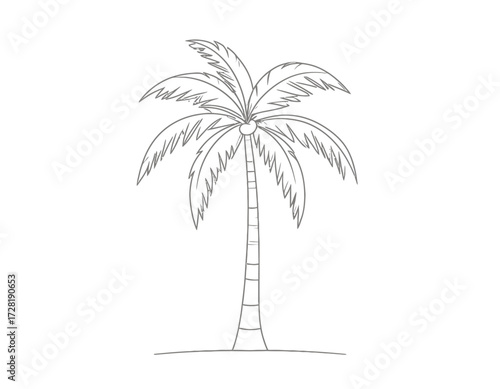palm tree vector illustration