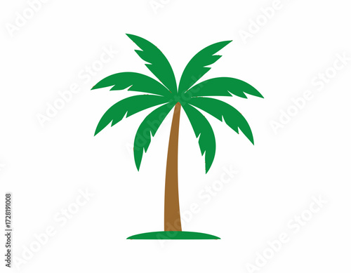 palm tree vector illustration