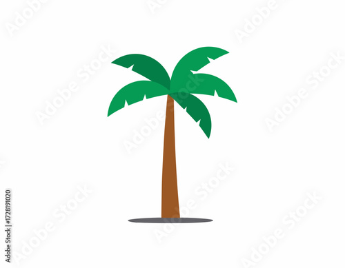palm tree vector illustration