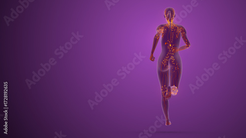 Female Anatomy with Lymphatic Pathways Highlighted