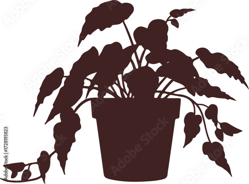 Silhouette of a potted plant with large leaves and intricate details.