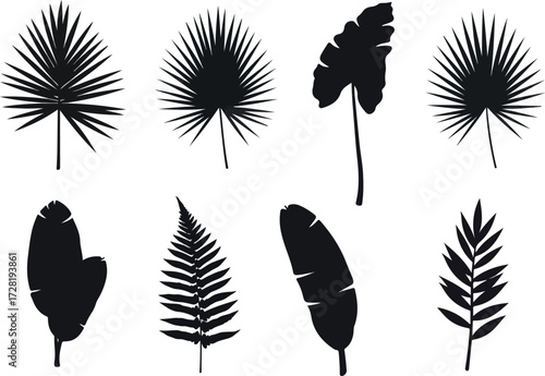 Silhouette of Tropical Leaves Collection for Design and Decoration.